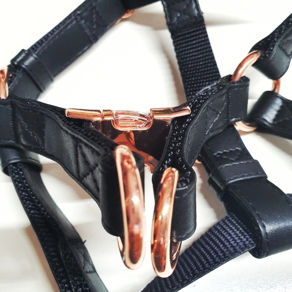 Black Faux Leather Rose Gold Hardwear Harness NWOT - Picture 2 of 6